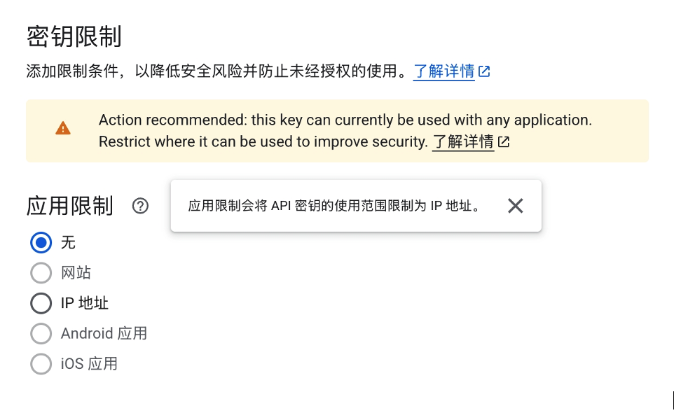 API Key Application Restrictions Option